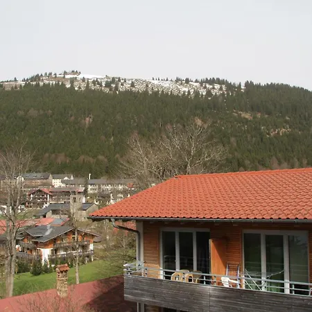 Apartament Bachmann *